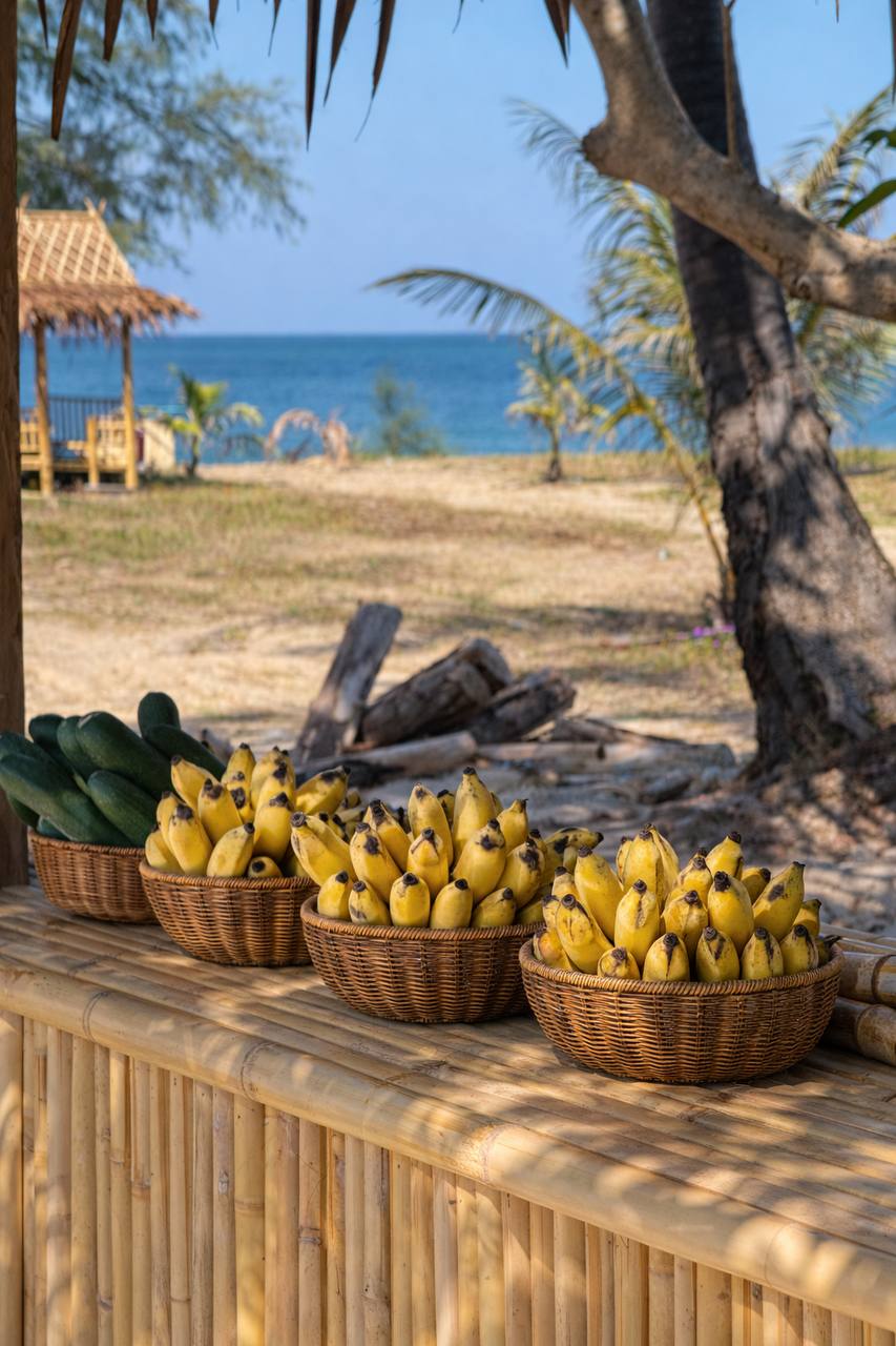 ELEPHANT BEACH, GLASS BRIDGE AND MANTRA SPA